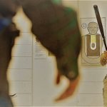 gespreks-en-benaderingstechniek-voor-boas